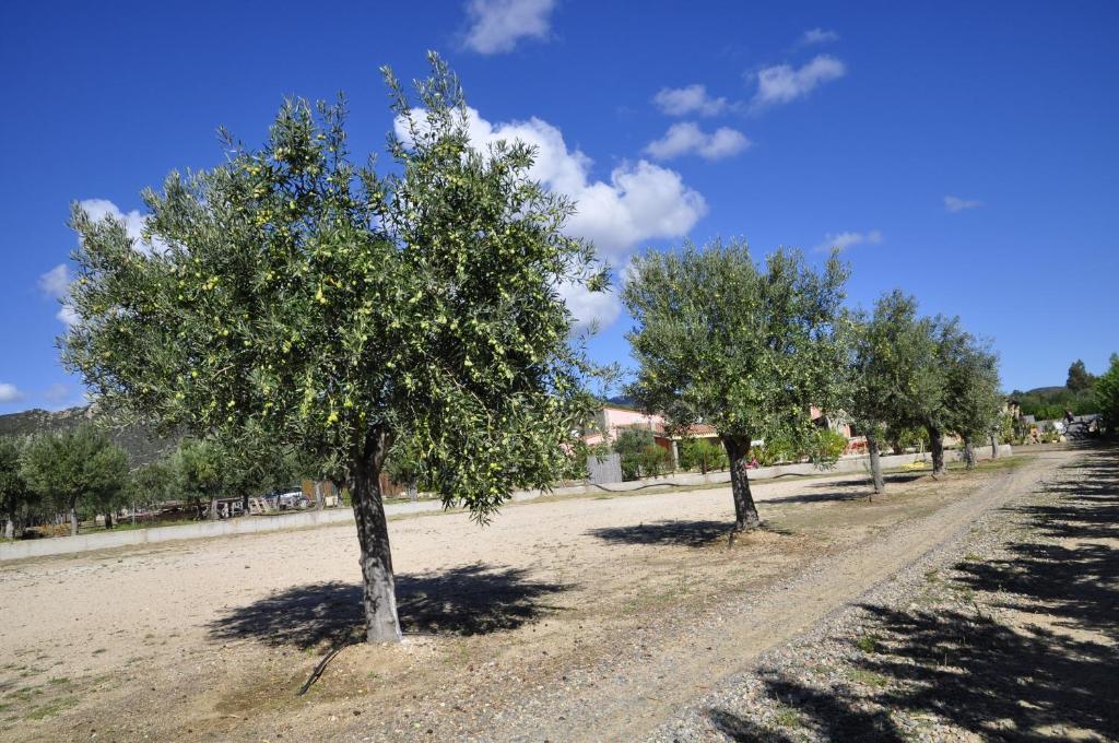 B&B I Graniti Sardi Villasimius Bagian luar foto